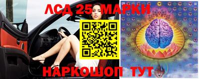 гидра Краснознаменск