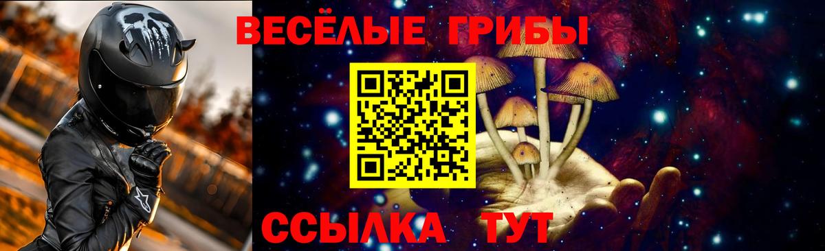 Псилоцибиновые грибы мицелий Камышлов